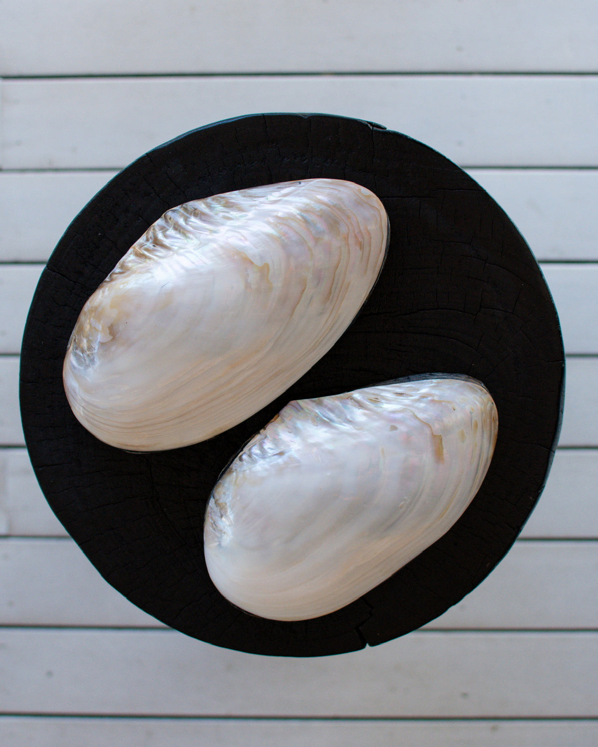 Mother of Pearl Shell Jewellery Box