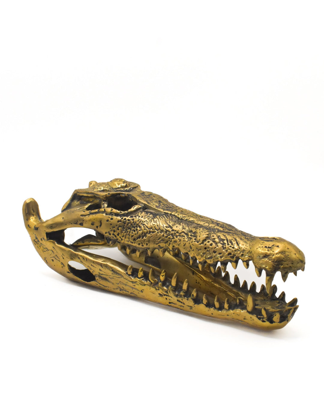 Gold alligator skull figurine on a white background