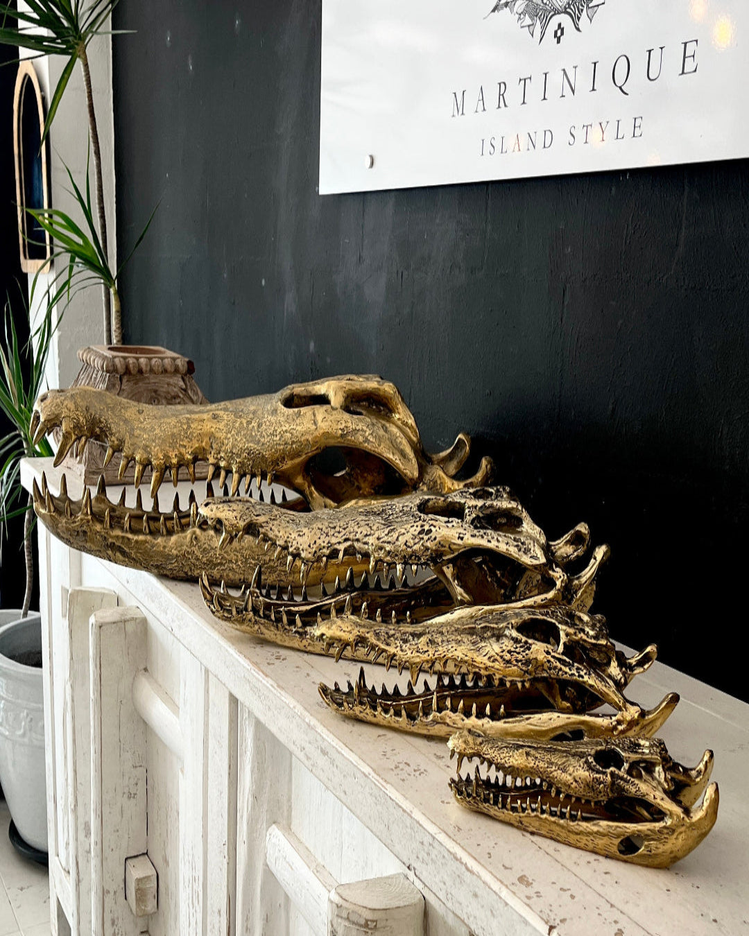 Decorative alligator skulls on a shelf with a 'Martinique Island Style' sign in the background.