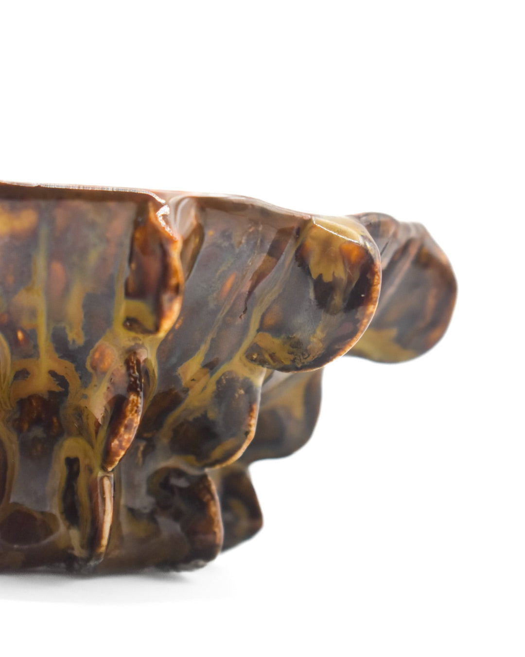 Tortoiseshell-patterned object on a white background