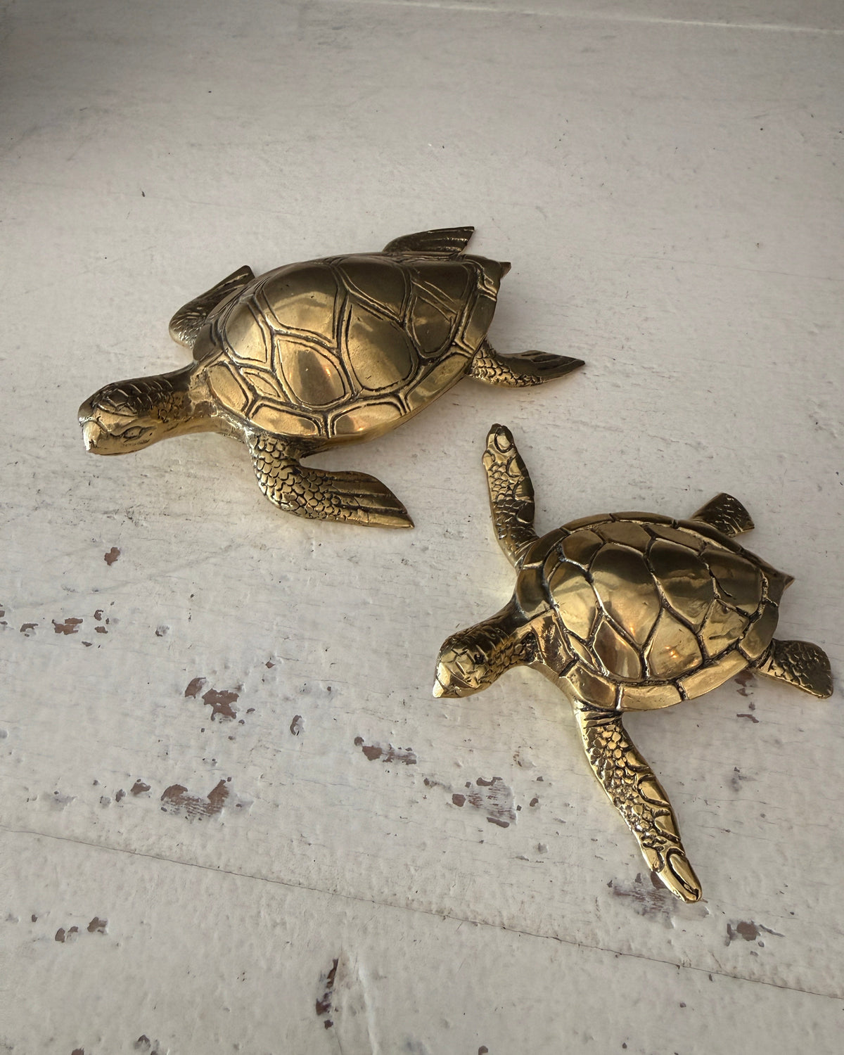 Brass Turtle
