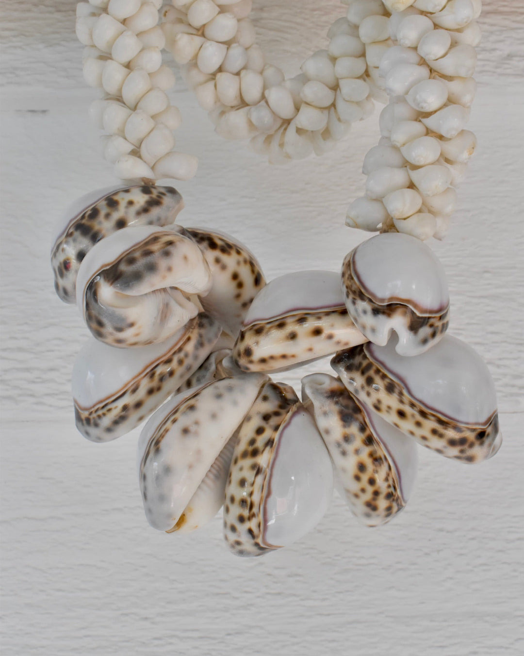 Shell necklace with white and brown pattern on a textured surface