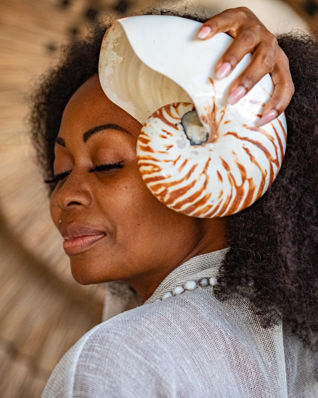Natural Nautilus Shell