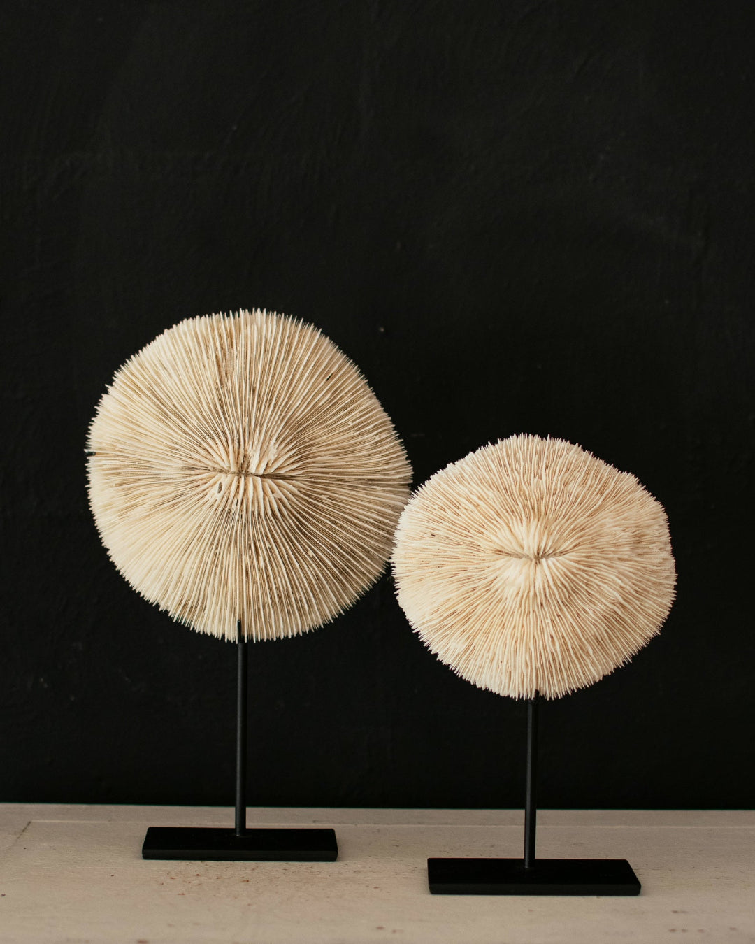 Reef Bloom Coral Decor