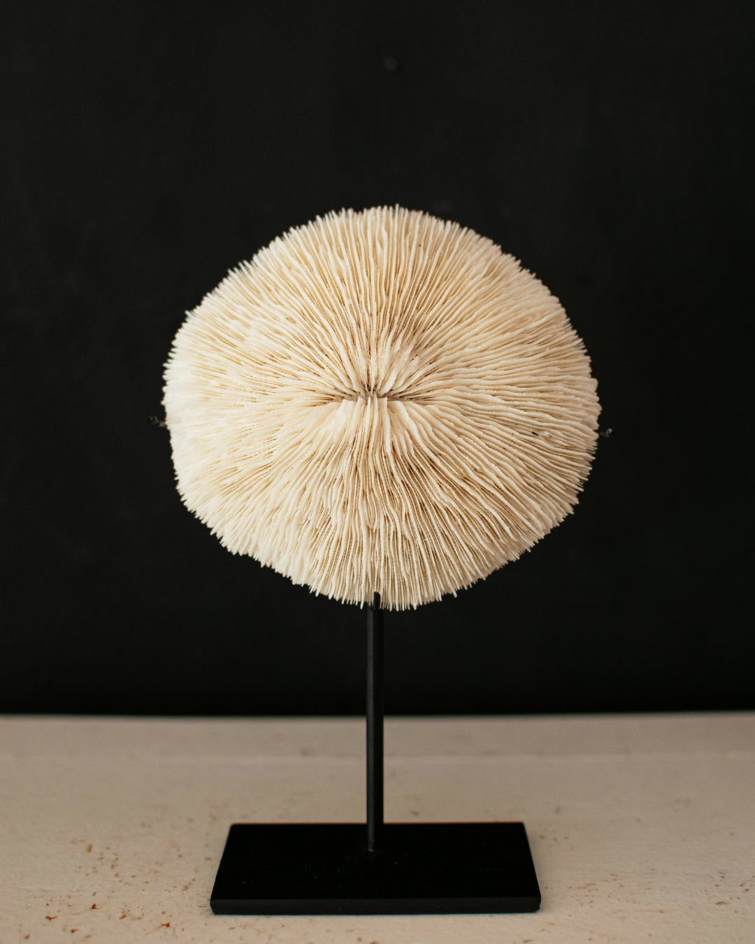 Reef Bloom Coral Decor
