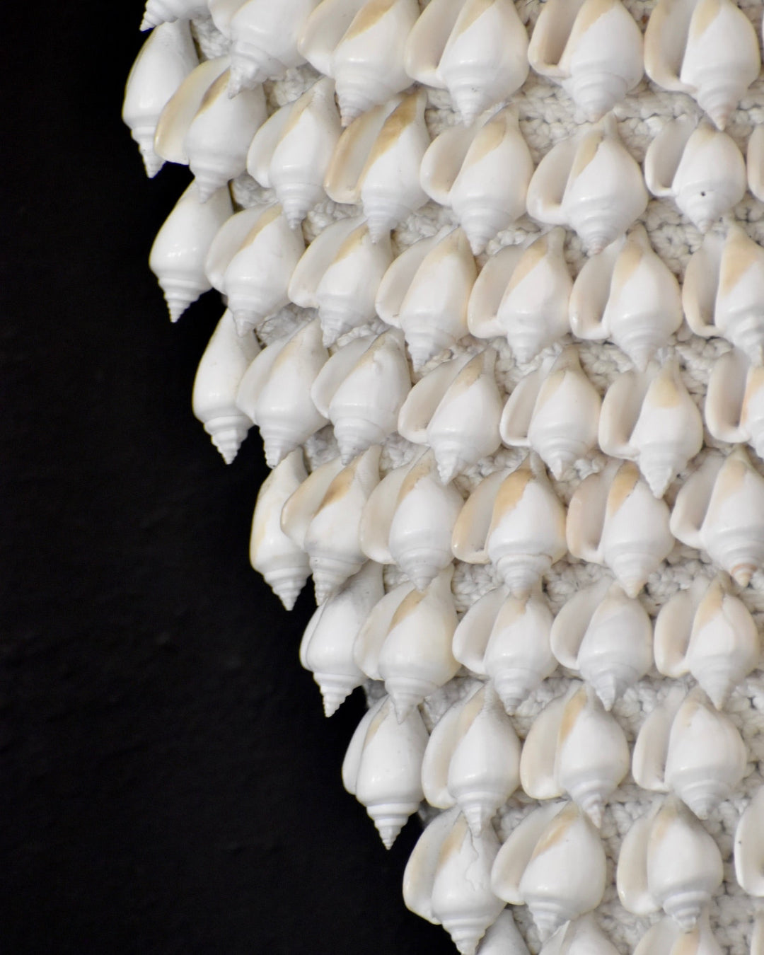 Decorative wall art made of white seashells on a black background