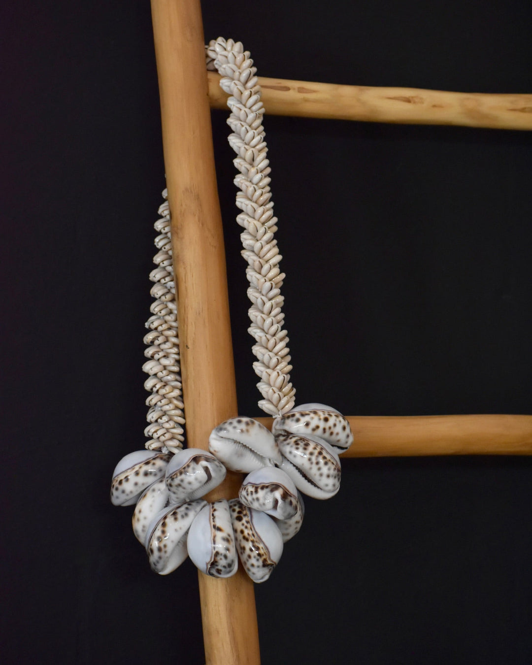 Shell necklace with cowrie shells on a wooden stick against a black background