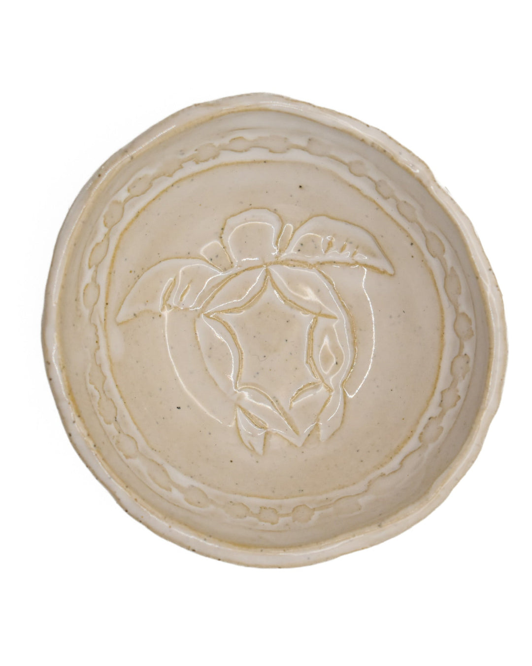 Beige ceramic plate with embossed design of a turtle on a white background
