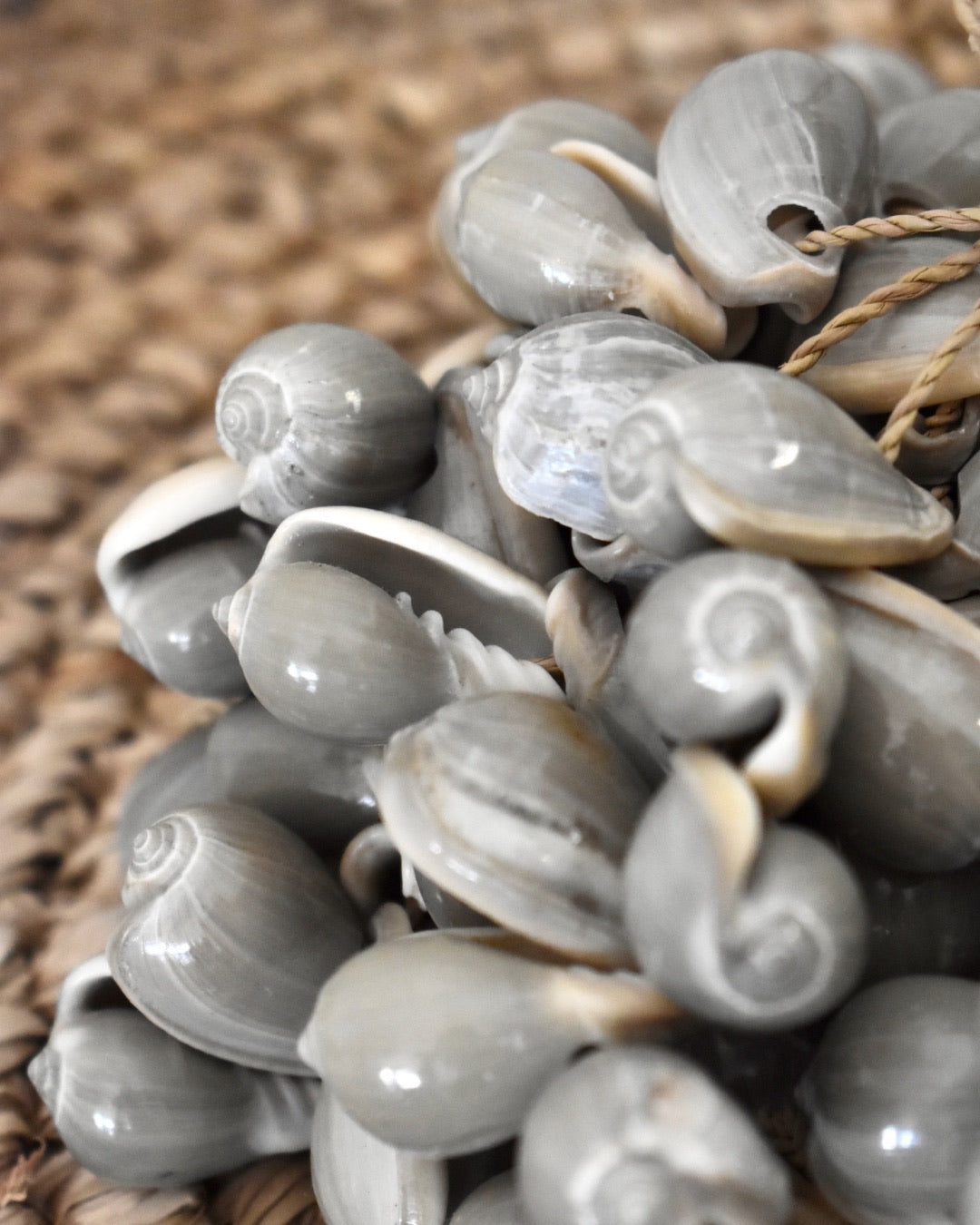 Grey Shell Tassel