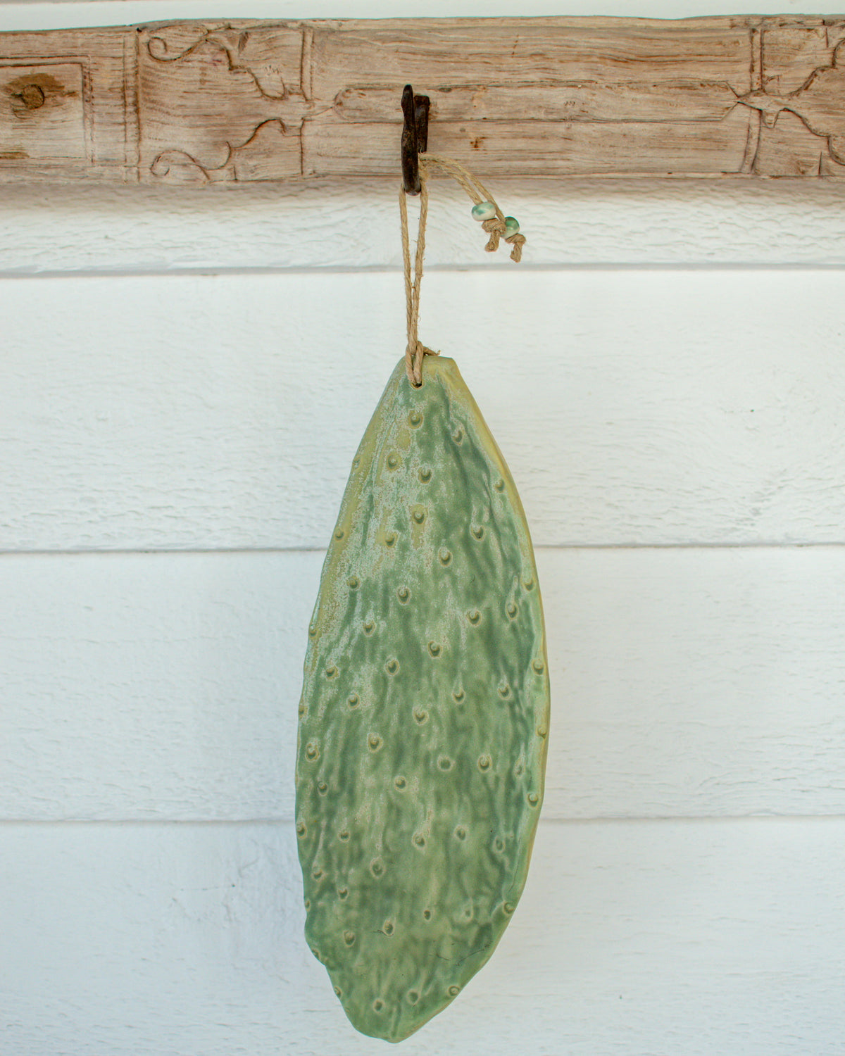 The Cactus Collection - Large