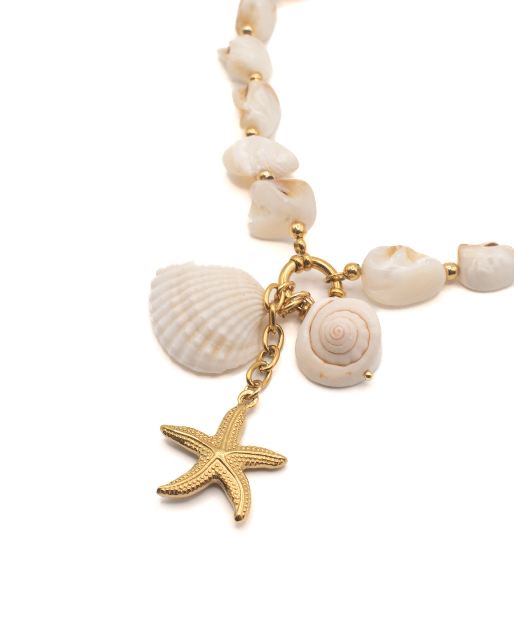 Seashell Necklace