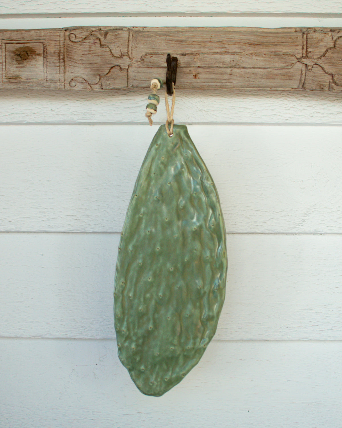 The Cactus Collection - Medium