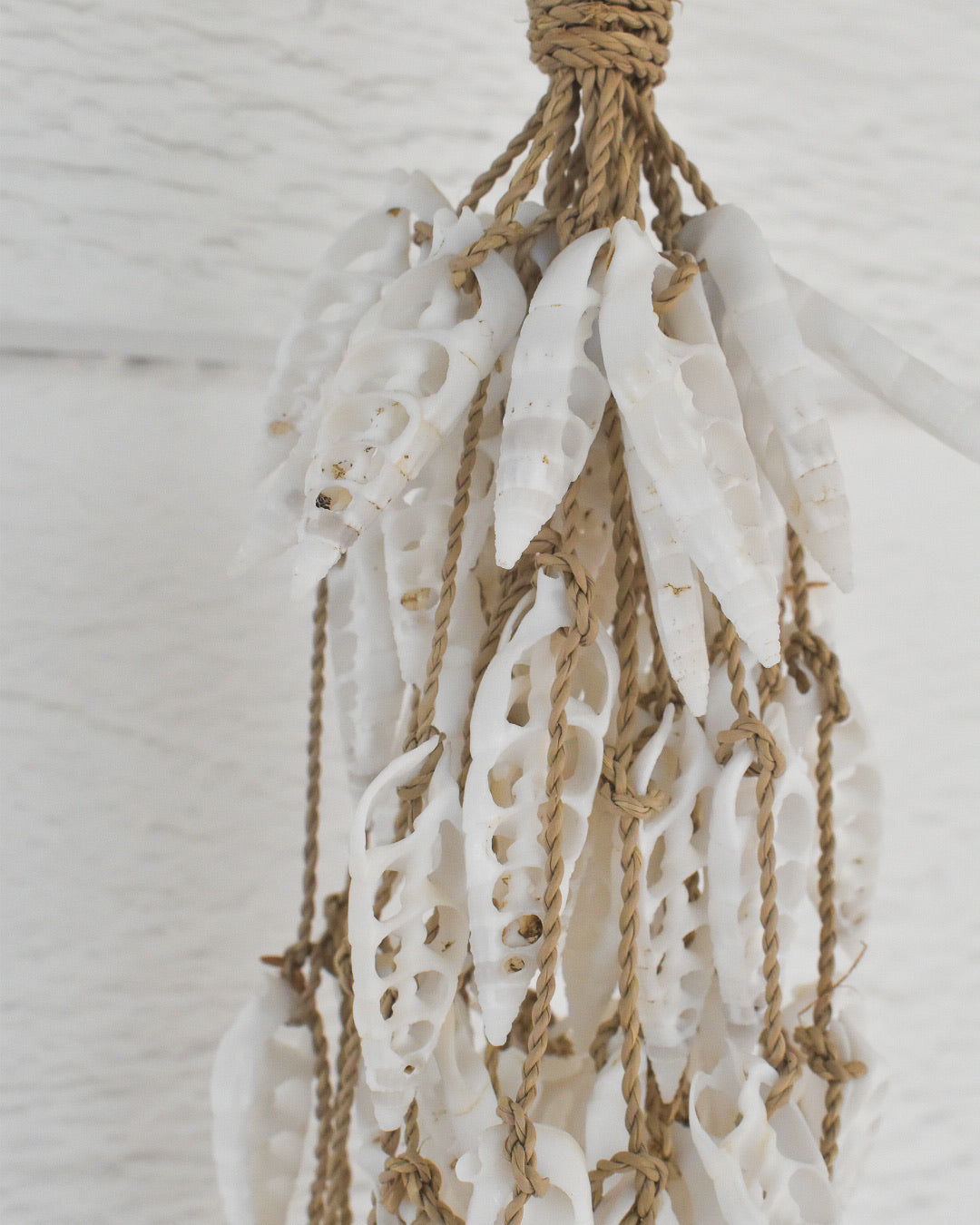 Decorative hanging with seashells and rope on a white background
