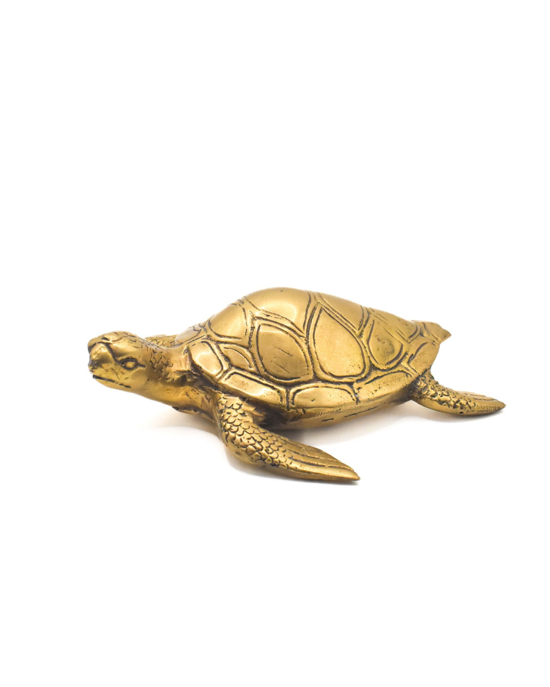 Gold turtle figurine on a white background