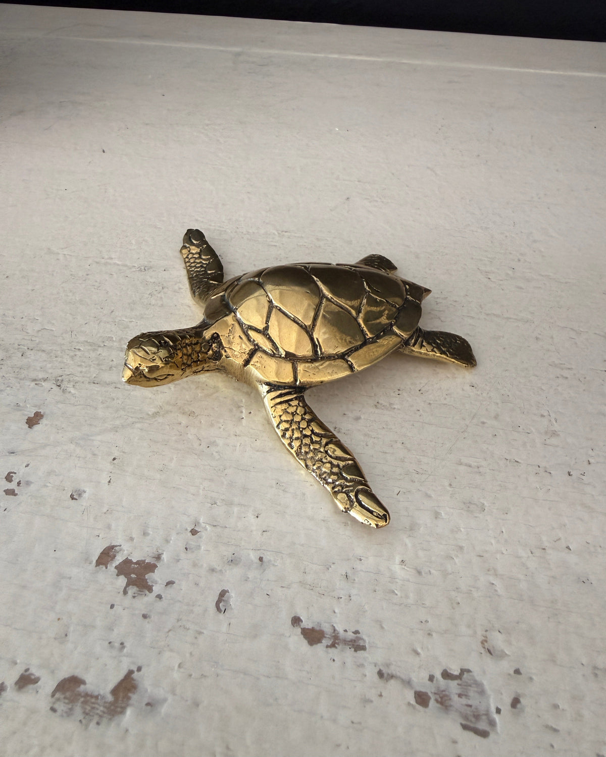 Brass Turtle