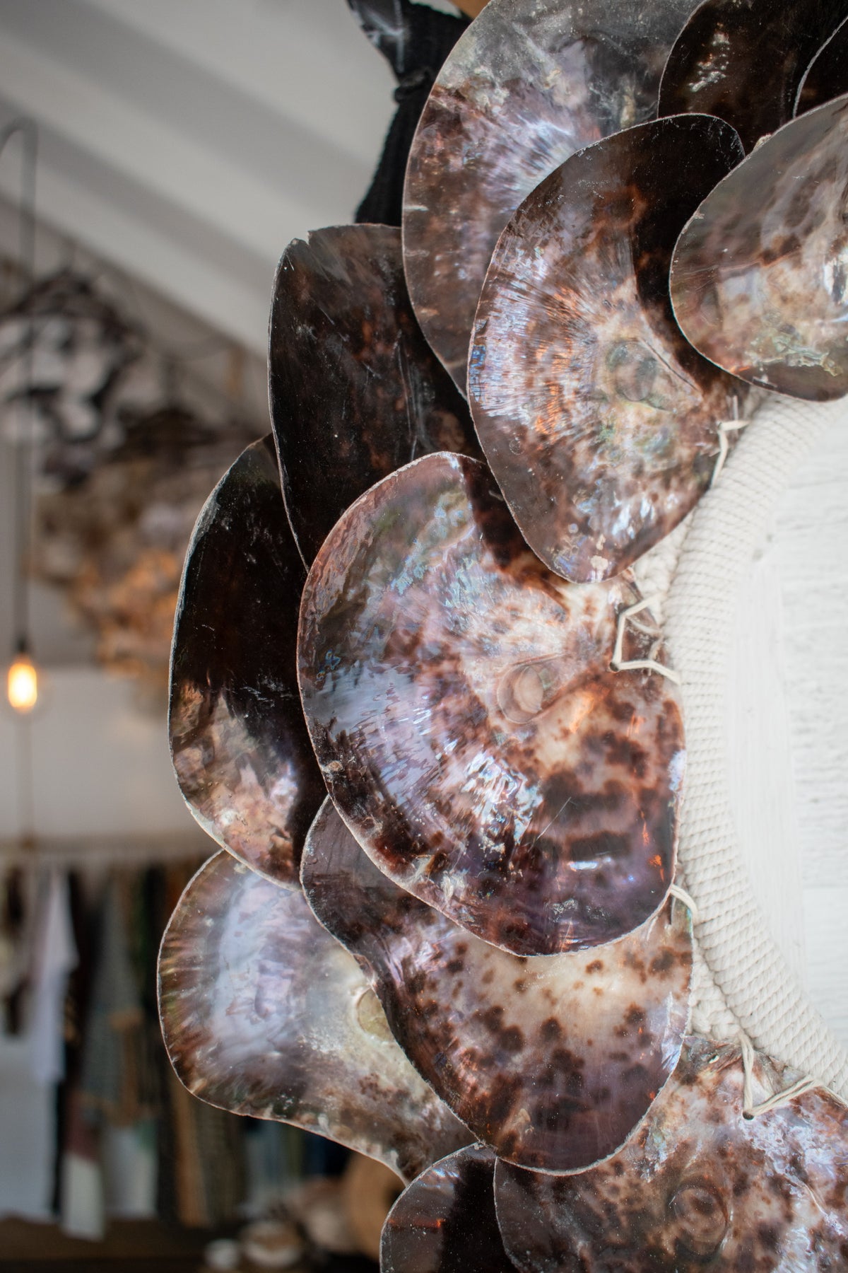 Enigma Shell Wall