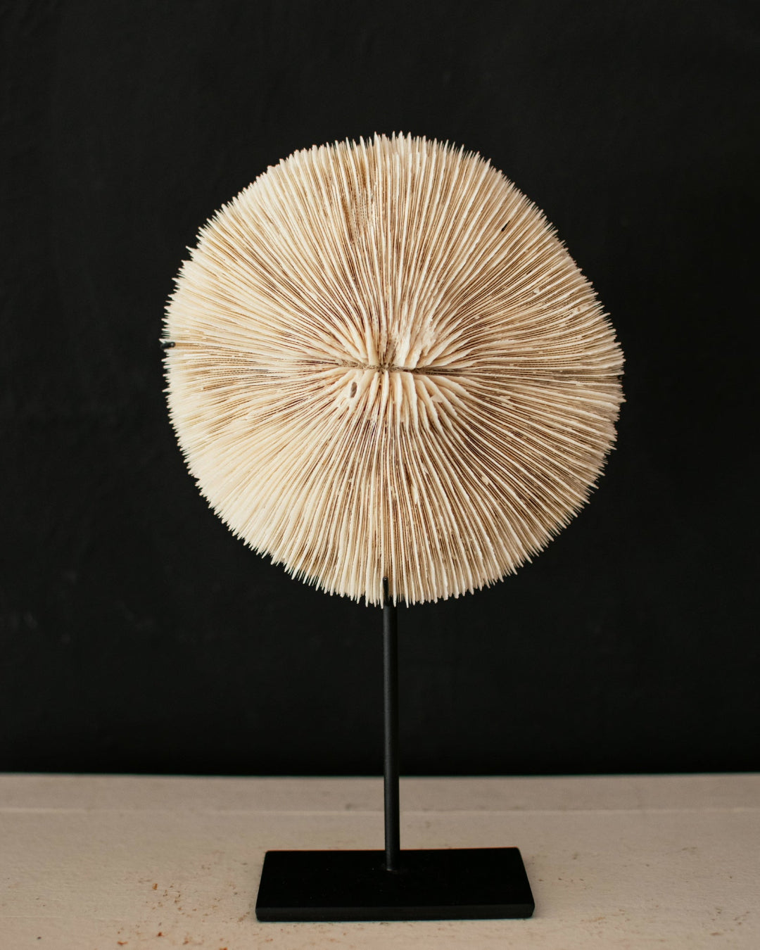 A circular, sunburst-style decorative sculpture made of many narrow pointed elements radiating from a central point, mounted on a slim black stand against a dark background.
