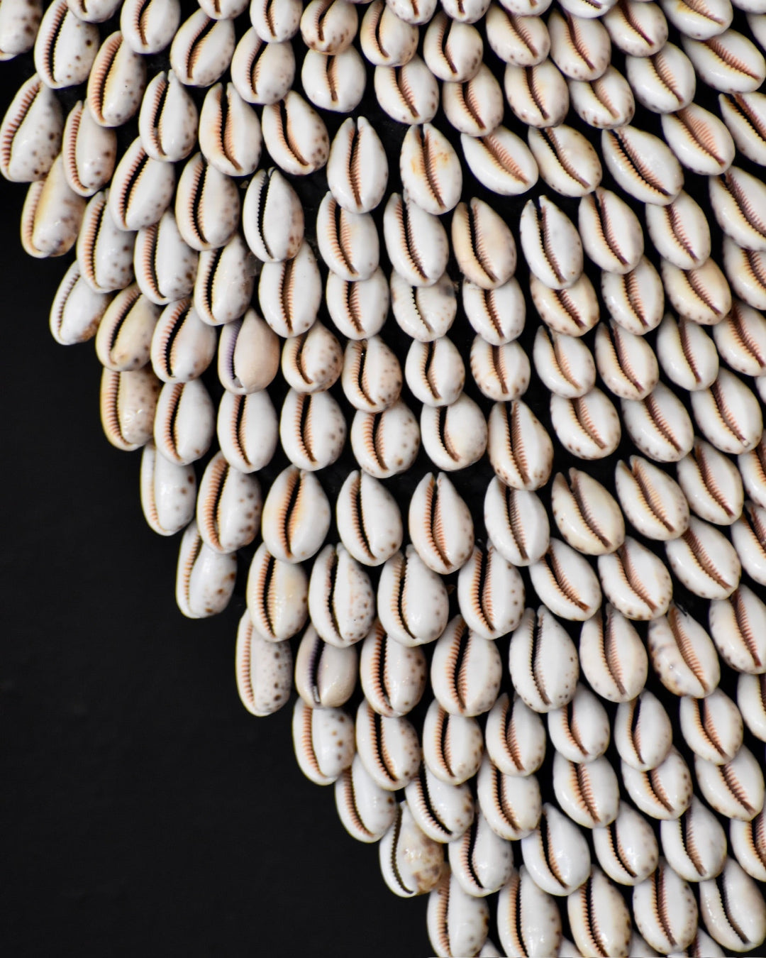 Close-up of a decorative wall art made from cowrie shells on a black background