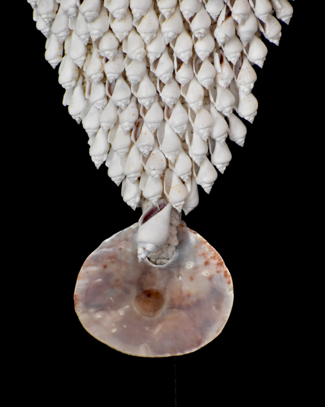 Decorative wall art made of seashells with a large central shell on a black background